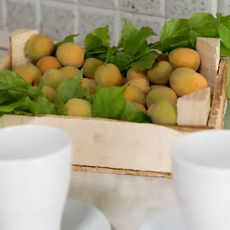 Maison d'hôtes Relais Regina Rosanna Gallipoli